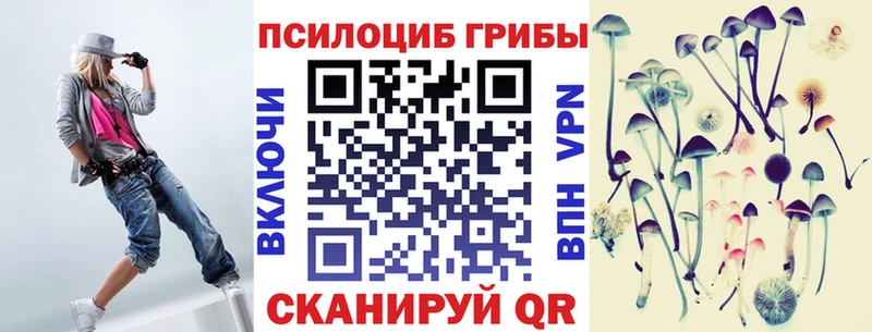 купить наркоту  Избербаш  Псилоцибиновые грибы Psilocybine cubensis 